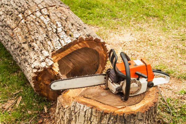 Tree Cutting Service in Lebanon